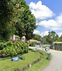 Leedon Park (D10), Detached #560796081